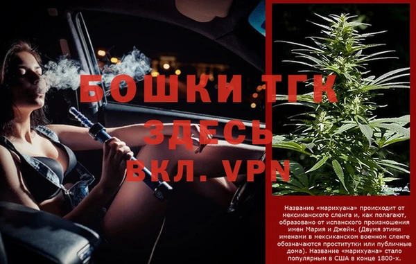 молекула духа Богородицк