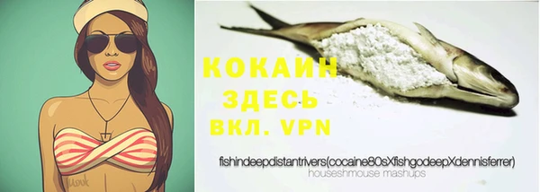 PSILOCYBIN Бронницы