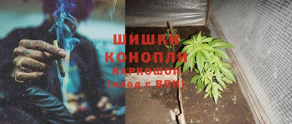 молекула духа Бугульма