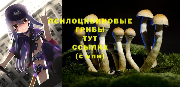 тгк Протвино