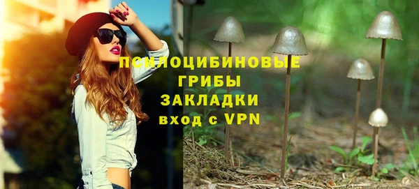 молекула духа Богородицк