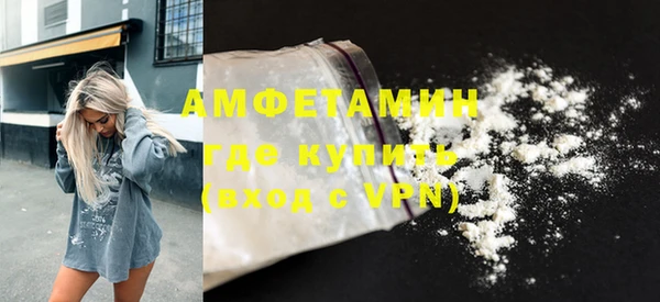 твердый Бородино