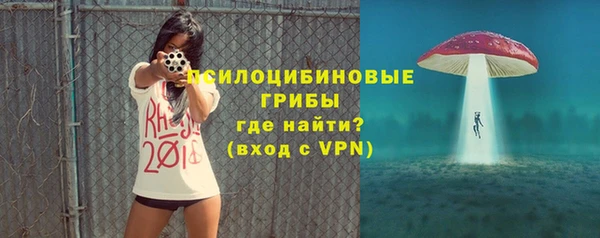 молекула духа Богородицк